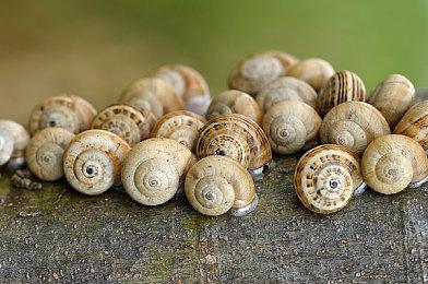 曝《战地6》首发将有40多种武器提供游玩！