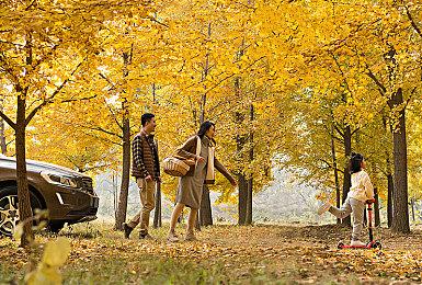 第三人称悬疑游戏《我们铺的这张床》上架Steam