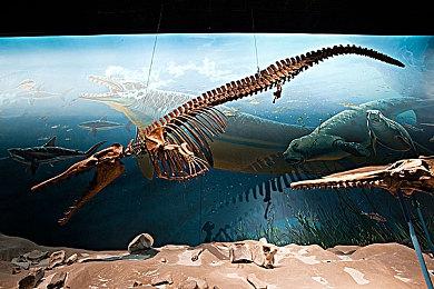 漫改《摇曳露营》主机版延期至11月11日发售